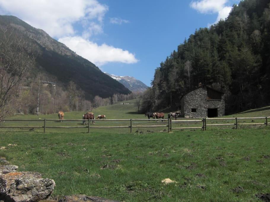 Apartament Gran Pirineu Монферрер Экстерьер фото